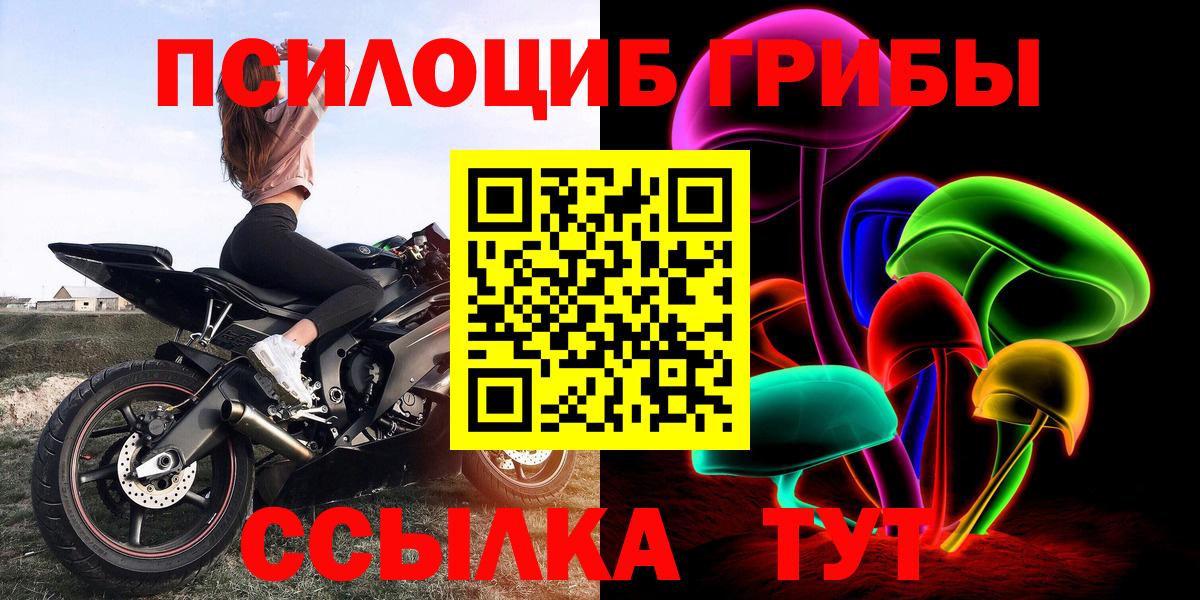 Псилоцибиновые грибы мицелий Кинель