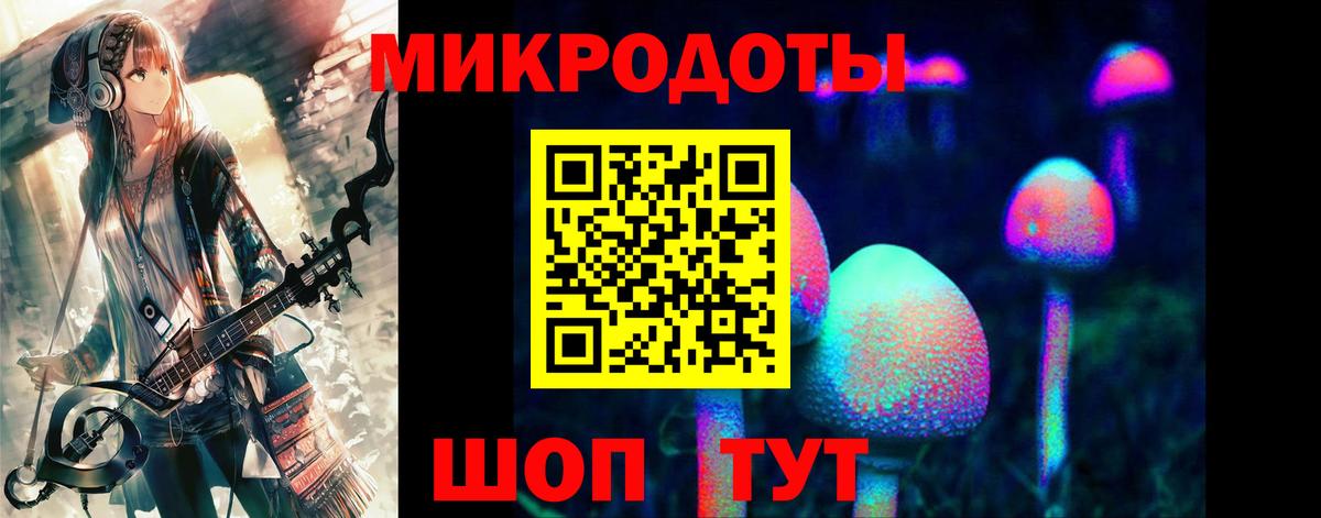 Кинель  Псилоцибиновые грибы прущие грибы  цены   Вход с VPN 